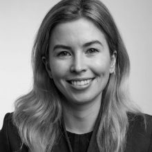 The Accidental Lawyer