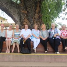 50 Year Reunion