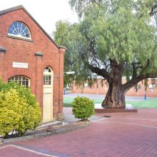 The John E Higgs Hall – an update for the Girton community